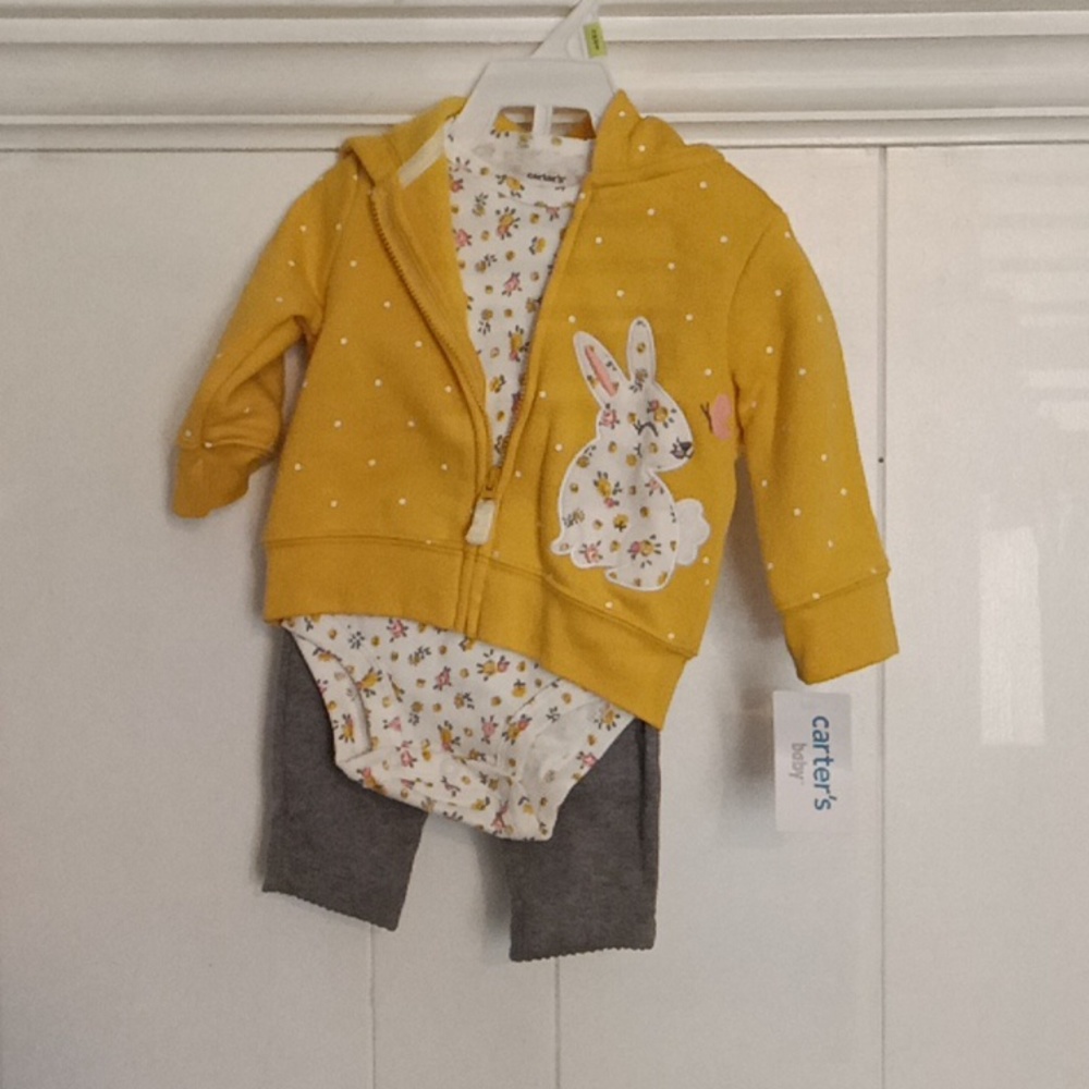 Carter's sweater set
